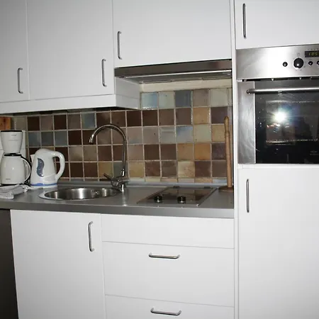 Liiger-hoern-dg-wohnung-4-moewe